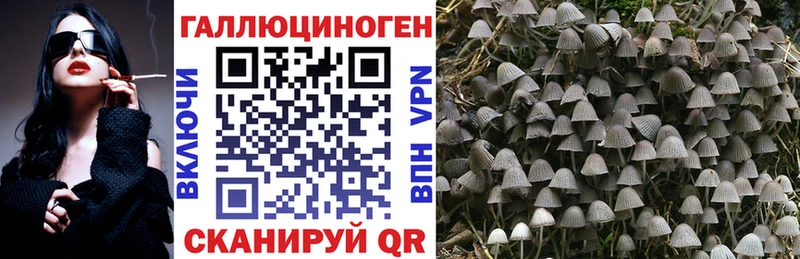 Галлюциногенные грибы прущие грибы  Купить закладки  Туринск 