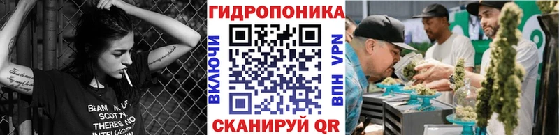 Канабис план  Купить где  Туринск 